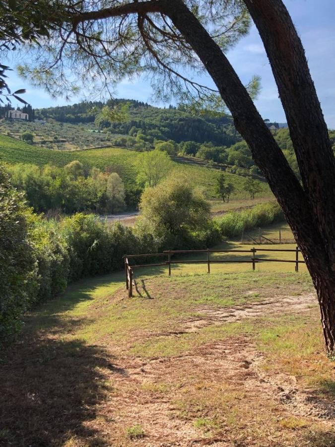 La Gufaia - Holiday House With Private Pool Near Florence Carmignano Zewnętrze zdjęcie