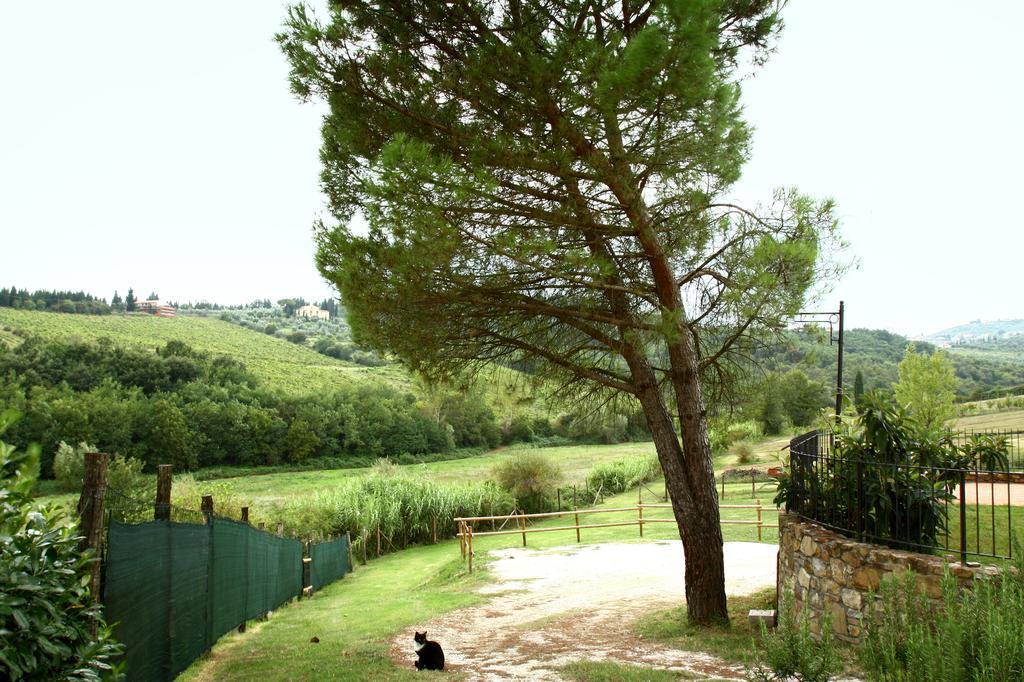 La Gufaia - Holiday House With Private Pool Near Florence Carmignano Zewnętrze zdjęcie