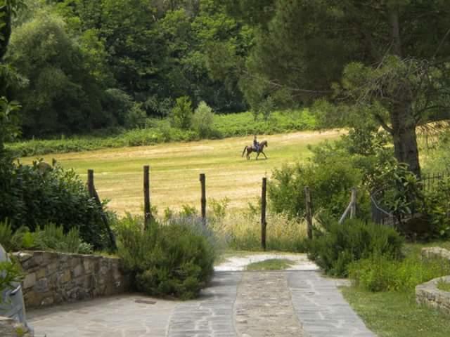 La Gufaia - Holiday House With Private Pool Near Florence Carmignano Zewnętrze zdjęcie